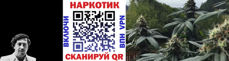 Где найти наркотики Каргополь КОКАИН  АМФ  ГАШ  Меф  Альфа ПВП 