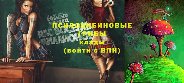 винт Магас